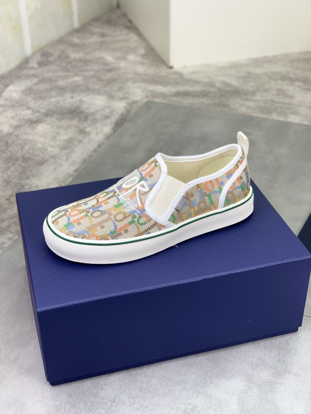 Dior Multicolor Canvas Slip-On Shoes
